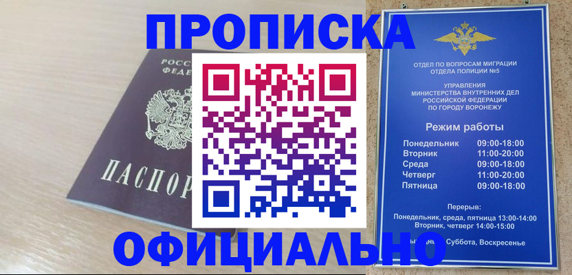 прописка в квартире в Мончегорске